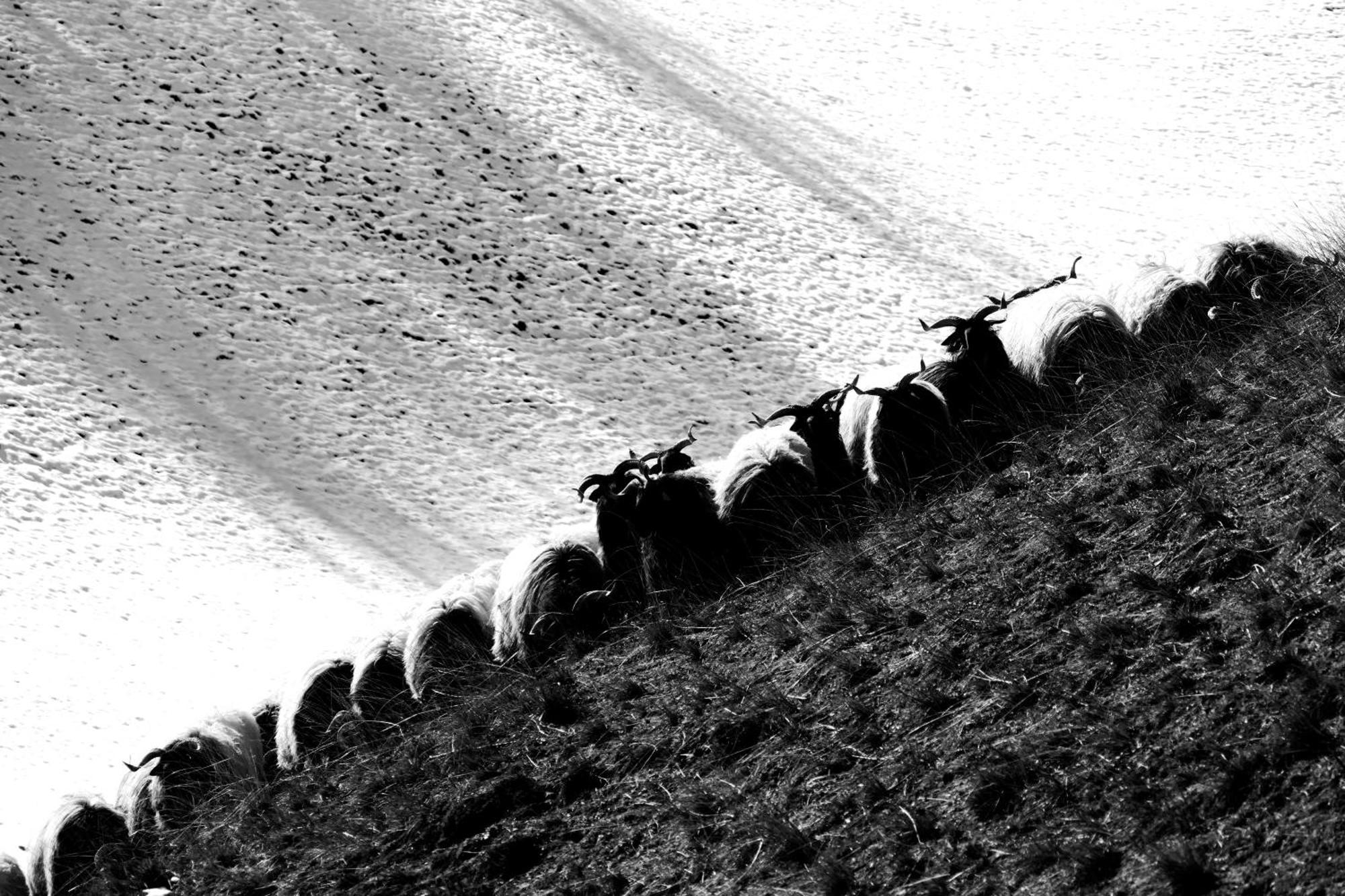 Eyhera Perkain Aldudes Exterior foto